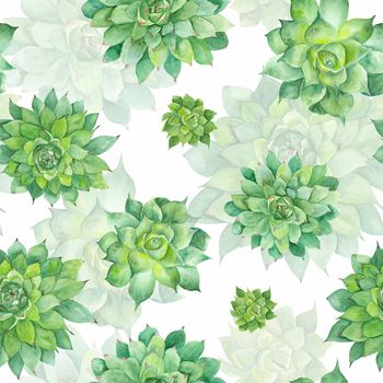 Hand-painted seamless texture with green tropical plant isolated on white background, Sempervivum botanical illustration