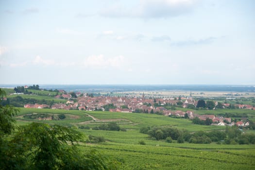 Hiking in Alsace with vinewyard views in France vacation