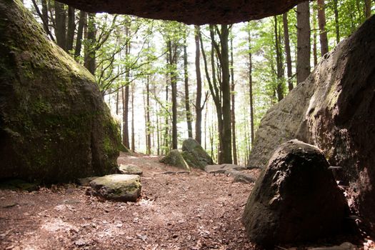 Nature and forest in europe france vacation hiking