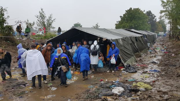 SERBIA, Sid: Refugees gather at a camp in Sid, Serbia on October 19, 2015, where they have been stranded in the cold for nearly two days before the opening of the border with Croatia that day. The area has become increasingly congested with refugees since the weekend, when Hungary closed its borders with Croatia.