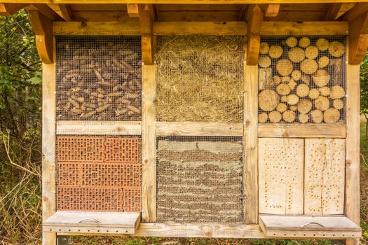 Nest wall for bees and insects
