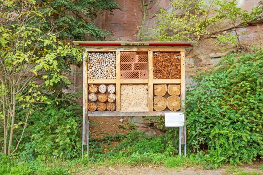 Fischbach bei Dahn, Germany - September 29, 2013: Nest wall at the Biosphaerenhaus Pfaelzerwald / Nordvogesen (Biosphere house). It shows possibilities for bees and insects to nest