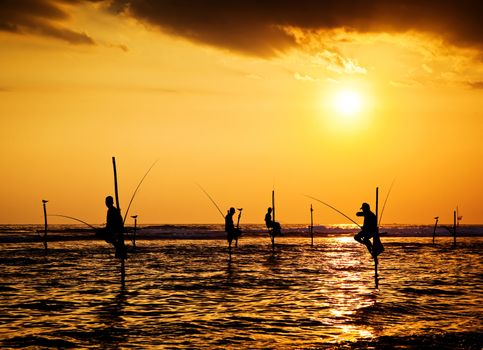 Silhouettes of the traditional stilt fishermen at the sunset near Galle in Sri Lanka