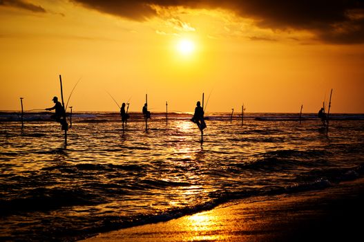 Silhouettes of the traditional stilt fishermen at the sunset near Galle in Sri Lanka