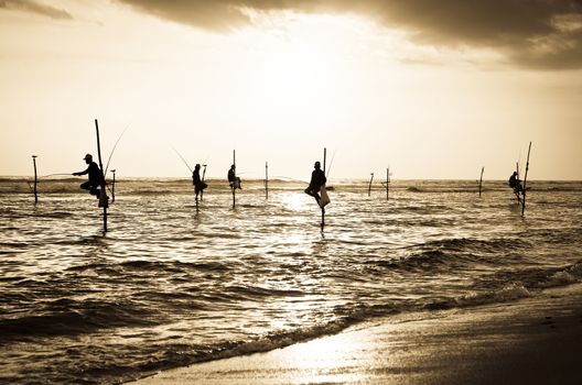 Silhouettes of the traditional stilt fishermen at the sunset near Galle in Sri Lanka