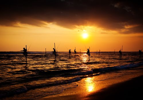Silhouettes of the traditional stilt fishermen at the sunset near Galle in Sri Lanka