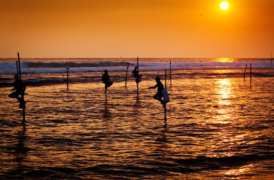 Silhouettes of the traditional stilt fishermen at the sunset near Galle in Sri Lanka