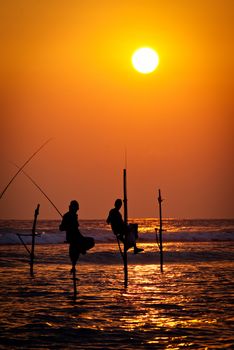 Silhouettes of the traditional stilt fishermen at the sunset near Galle in Sri Lanka