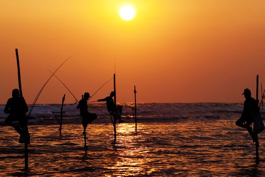 Silhouettes of the traditional stilt fishermen at the sunset near Galle in Sri Lanka