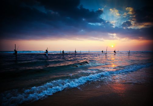 Silhouettes of the traditional stilt fishermen at the sunset near Galle in Sri Lanka