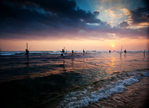 Silhouettes of the traditional stilt fishermen at the sunset near Galle in Sri Lanka