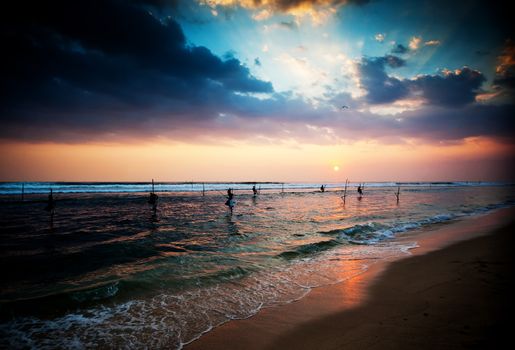 Silhouettes of the traditional stilt fishermen at the sunset near Galle in Sri Lanka