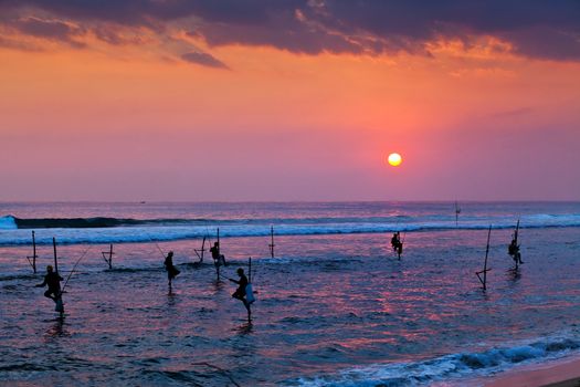 Silhouettes of the traditional stilt fishermen at the sunset near Galle in Sri Lanka