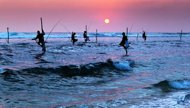 Silhouettes of the traditional stilt fishermen at the sunset near Galle in Sri Lanka