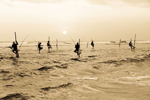 Silhouettes of the traditional stilt fishermen at the sunset near Galle in Sri Lanka