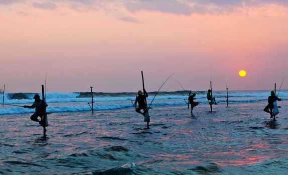 Silhouettes of the traditional stilt fishermen at the sunset near Galle in Sri Lanka