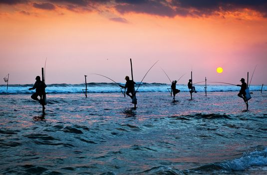 Silhouettes of the traditional stilt fishermen at the sunset near Galle in Sri Lanka