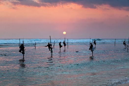 Silhouettes of the traditional stilt fishermen at the sunset near Galle in Sri Lanka