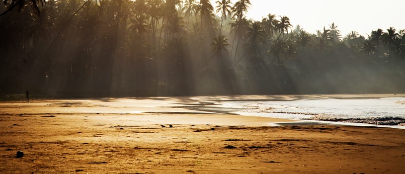 Tropical beach at dawn