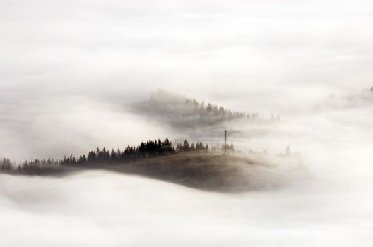 evening mountain plateau landscape (Carpathian, Ukraine) 