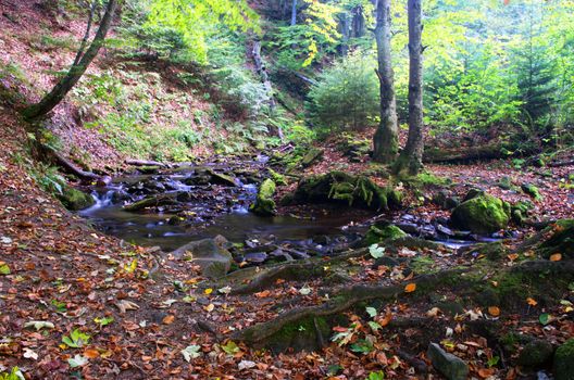 beautiful waterfall scene, ukraine carpathian shipot waterfall