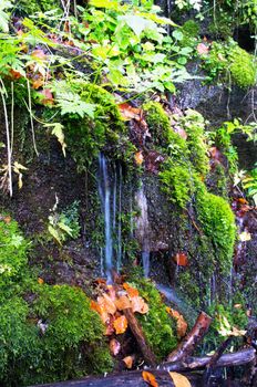 beautiful waterfall scene, ukraine carpathian shipot waterfall