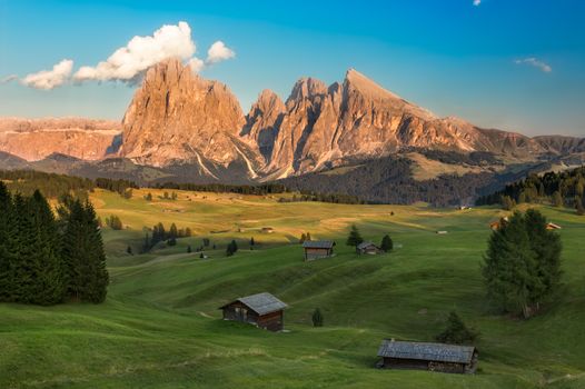 Seiser Alm with Langkofel Group in afternoon light, South Tyrol, Italy