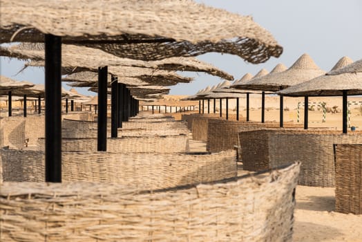 In the picture a group of beach parasols in Egypt