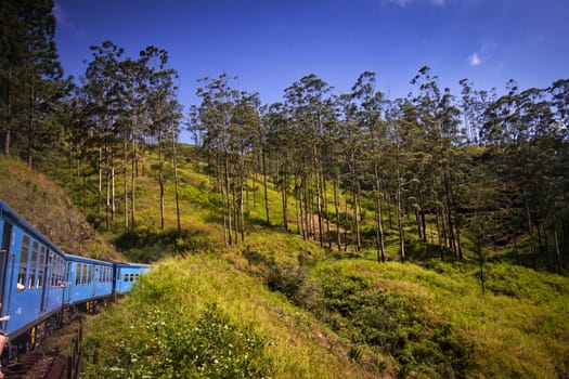 train from Nuwara Eliya to Kandy among tea plantations in the highlands of Sri Lanka