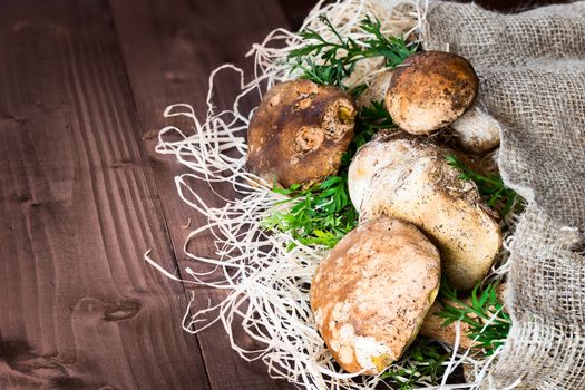 Pictured mushrooms(Boletus edulis,Porcini) - king of pore fungi,placed on straw and jute sack on wooden background.