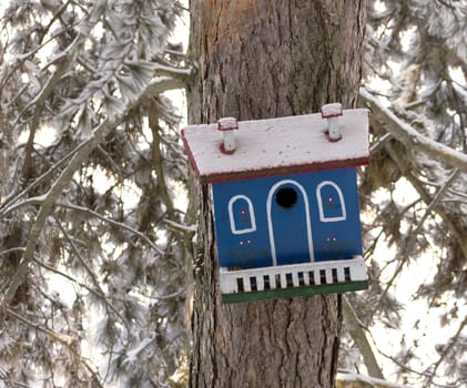 Bird houses made of wood in the winter environment