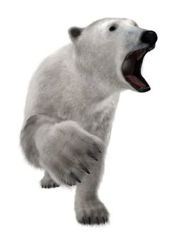 3D digital render of a polar bear isolated on white background