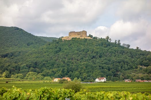 Castle Hambacher Schloss, near city Neustadt an der Weinstrasse, Germany