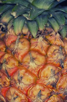 Close up detail of ripe pinneapple skin texture - abstract food background