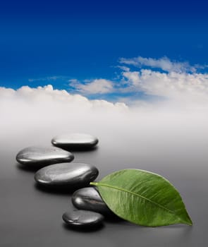 stones with green leaf