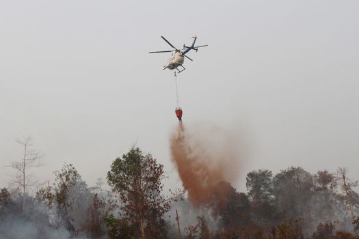  INDONESIA, Kubu Raya: An helicopter is helping to extinguish a fire at Kubu Raya district, in West Kalimantan province, on October 21, 2015. Indonesia launched its biggest operation ever to combat fires blanketing Southeast Asia in haze, an official said, with dozens of planes and thousands of troops battling the widespread blazes. 	