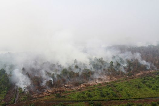  INDONESIA, Kubu Raya: Thick smoke rises up from the fire spot at Kubu Raya district, in West Kalimantan province, on October 21, 2015. Indonesia launched its biggest operation ever to combat fires blanketing Southeast Asia in haze, an official said, with dozens of planes and thousands of troops battling the widespread blazes. 	