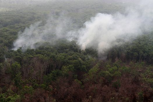  INDONESIA, Kubu Raya: Thick smoke rises up from the fire spot at Kubu Raya district, in West Kalimantan province, on October 21, 2015. Indonesia launched its biggest operation ever to combat fires blanketing Southeast Asia in haze, an official said, with dozens of planes and thousands of troops battling the widespread blazes. 	