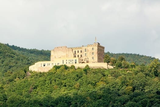 Castle Hambacher Schloss surrounded by forest
