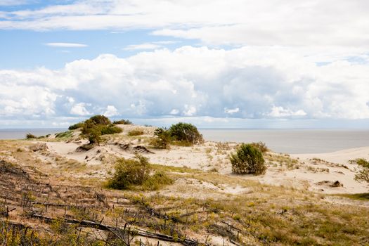 Sand dunes and bushes on Curonian Spit
