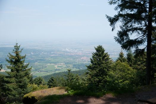 Panorama on Alsace landscape during summer vacation