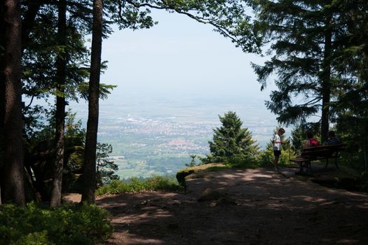 Panorama on Alsace landscape during summer vacation