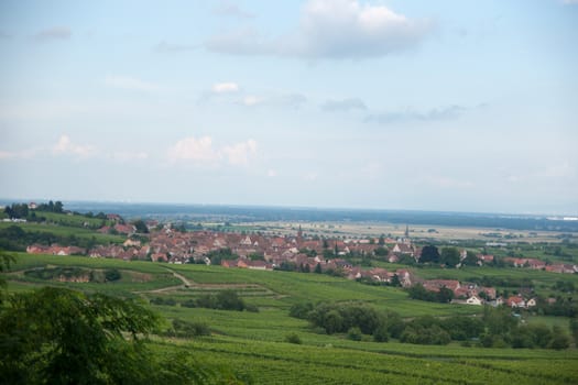 Hiking in Alsace with vinewyard views in France vacation