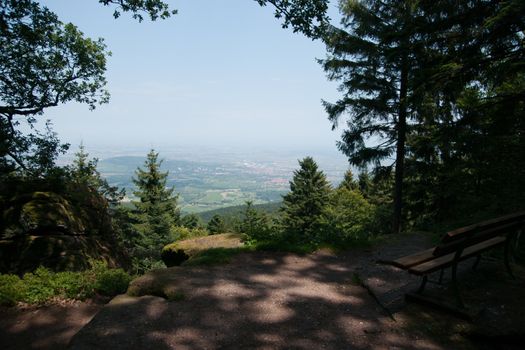 Panorama on Alsace landscape during summer vacation