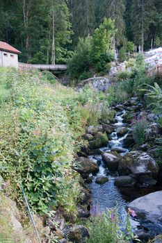 Black forest hiking in summer