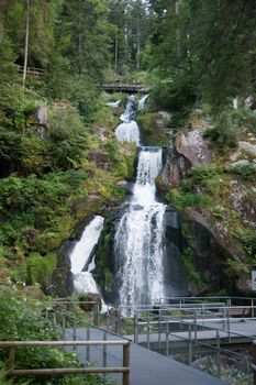 Black forest hiking in summer