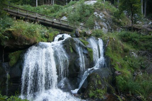 Black forest hiking in summer