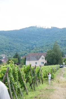 Hiking in Alsace with vinewyard views in France vacation