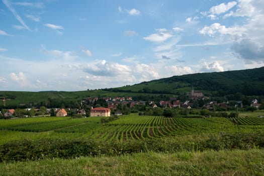 Hiking in Alsace with vinewyard views in France vacation