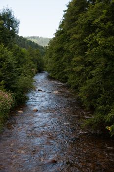 schwarzwald river view